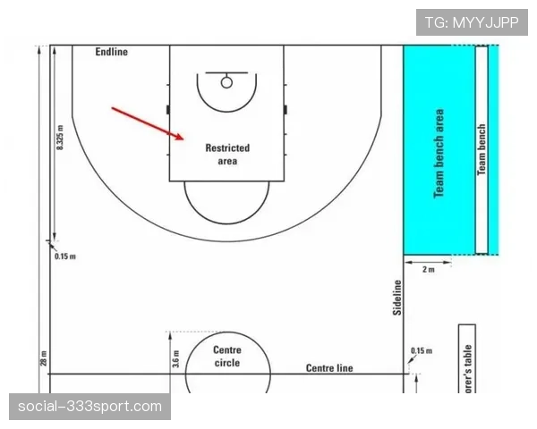 FIBA和NBA规则区别：关键差异解析