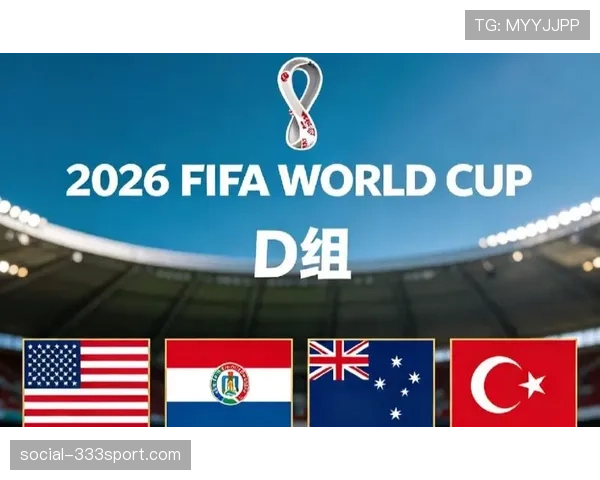 世界杯美国队D组小组第二概率分析